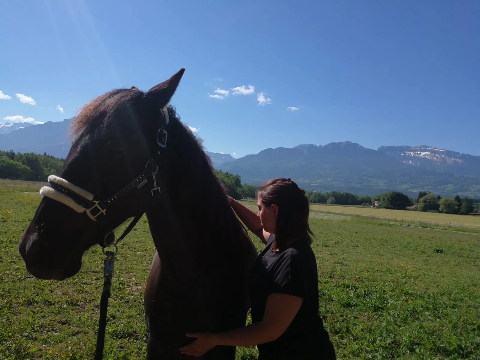 Prise de contact avec un cheval noir au pré, face aux montagnes